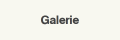 Galerie